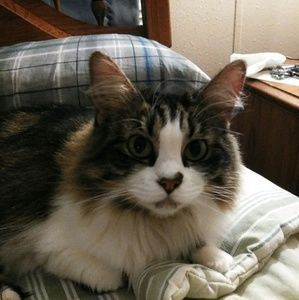 Meet your Posher, Claudia